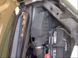 2008 HONDA ODYSSEY, GOLD, EX-L MODEL, 3.5L, AT, FWD,  A25176